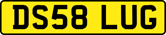 DS58LUG