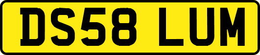DS58LUM