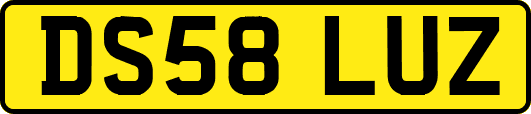 DS58LUZ