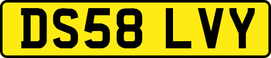 DS58LVY