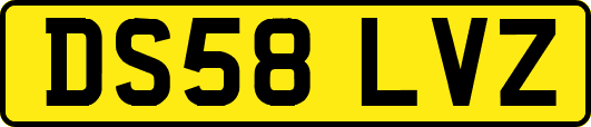 DS58LVZ