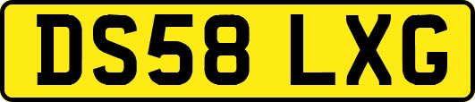 DS58LXG