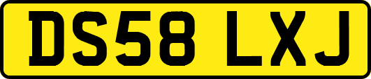 DS58LXJ