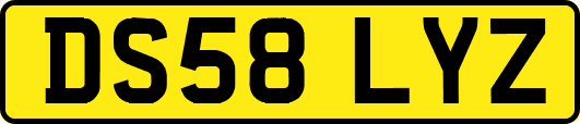 DS58LYZ