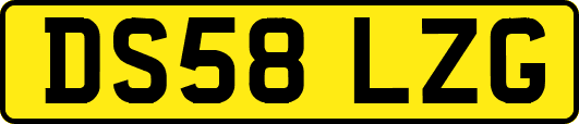 DS58LZG