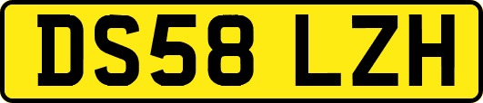 DS58LZH