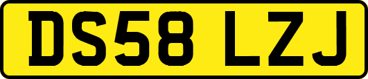 DS58LZJ