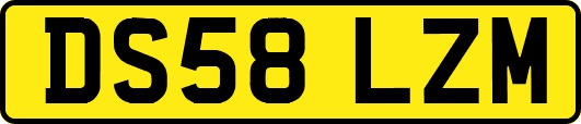 DS58LZM