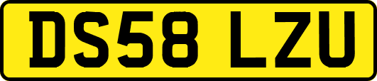 DS58LZU