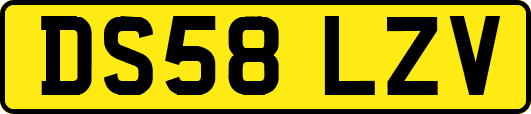 DS58LZV