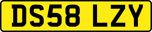 DS58LZY