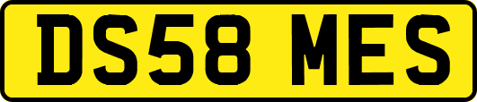 DS58MES