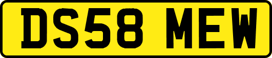 DS58MEW