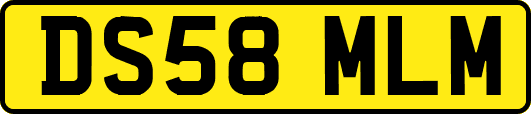 DS58MLM