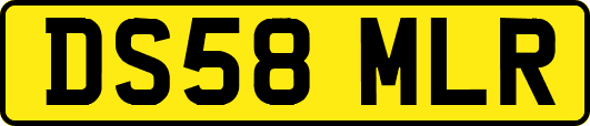 DS58MLR