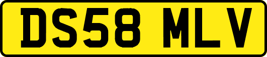 DS58MLV