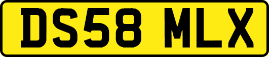 DS58MLX