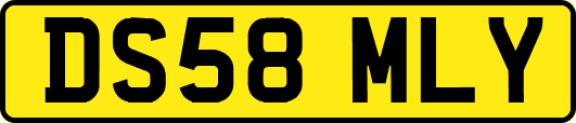 DS58MLY
