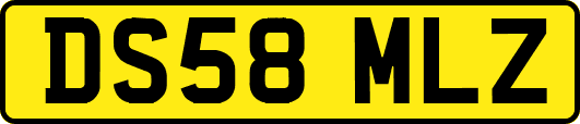 DS58MLZ