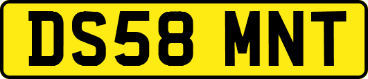 DS58MNT