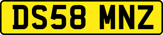 DS58MNZ
