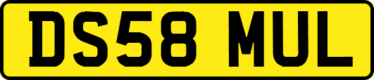 DS58MUL