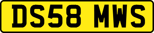 DS58MWS