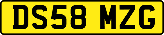 DS58MZG
