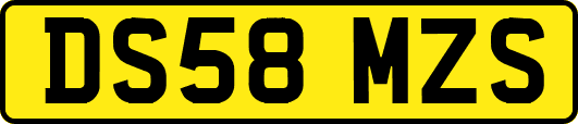 DS58MZS