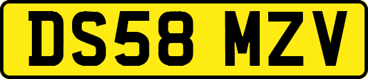 DS58MZV