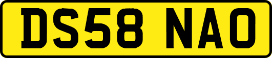 DS58NAO