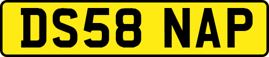 DS58NAP
