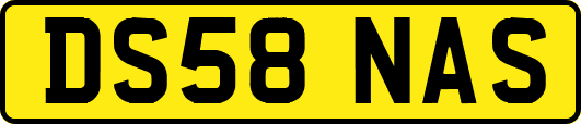 DS58NAS
