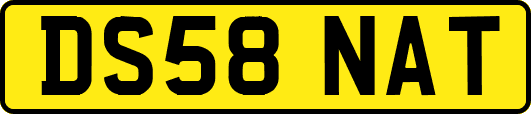 DS58NAT