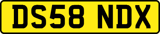 DS58NDX