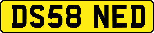 DS58NED