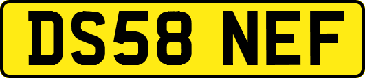 DS58NEF