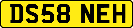 DS58NEH