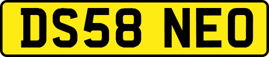 DS58NEO