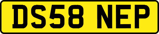 DS58NEP
