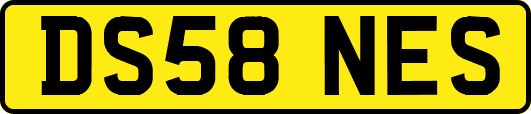 DS58NES