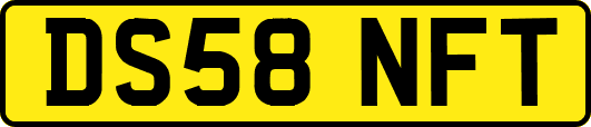 DS58NFT