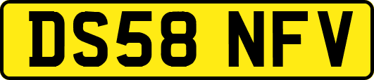 DS58NFV