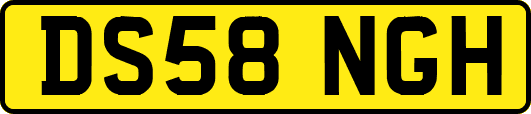 DS58NGH