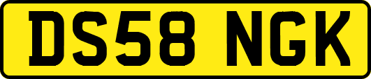 DS58NGK