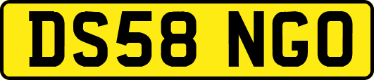 DS58NGO
