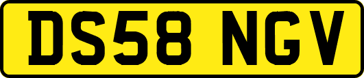 DS58NGV