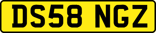 DS58NGZ
