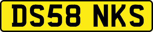 DS58NKS