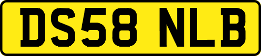 DS58NLB